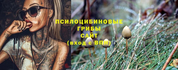 стафф Балахна