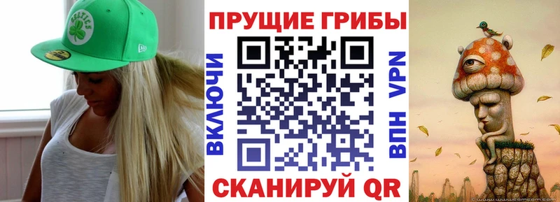 Псилоцибиновые грибы Psilocybe  хочу наркоту  даркнет состав  Сухиничи 