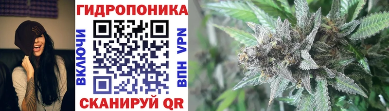 купить   Сухиничи  Марихуана LSD WEED 